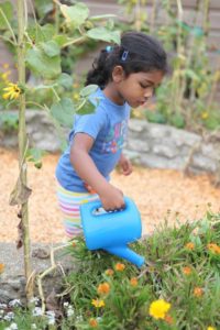 A girl watering flowers with a watering can.